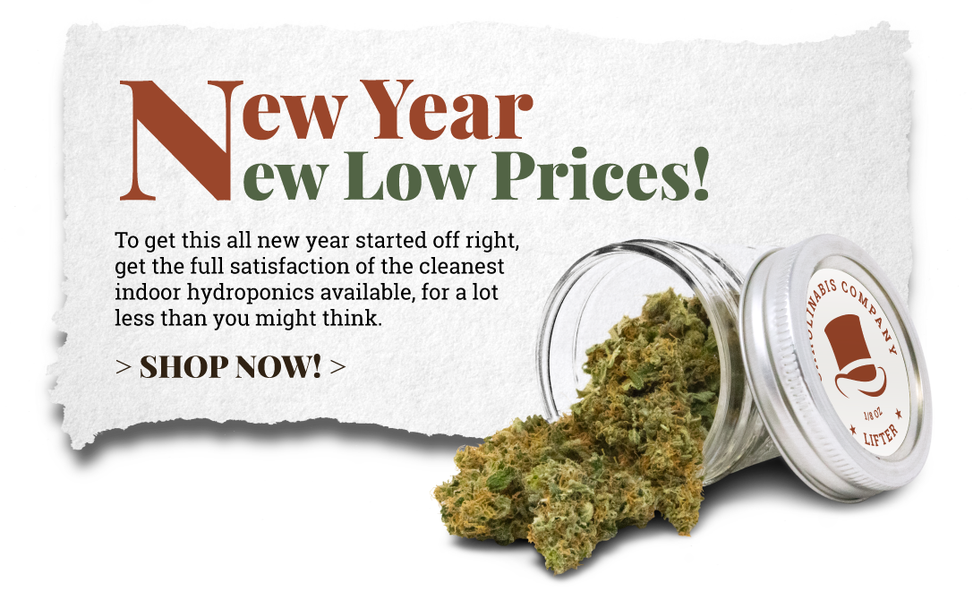 New Year New Low Prices