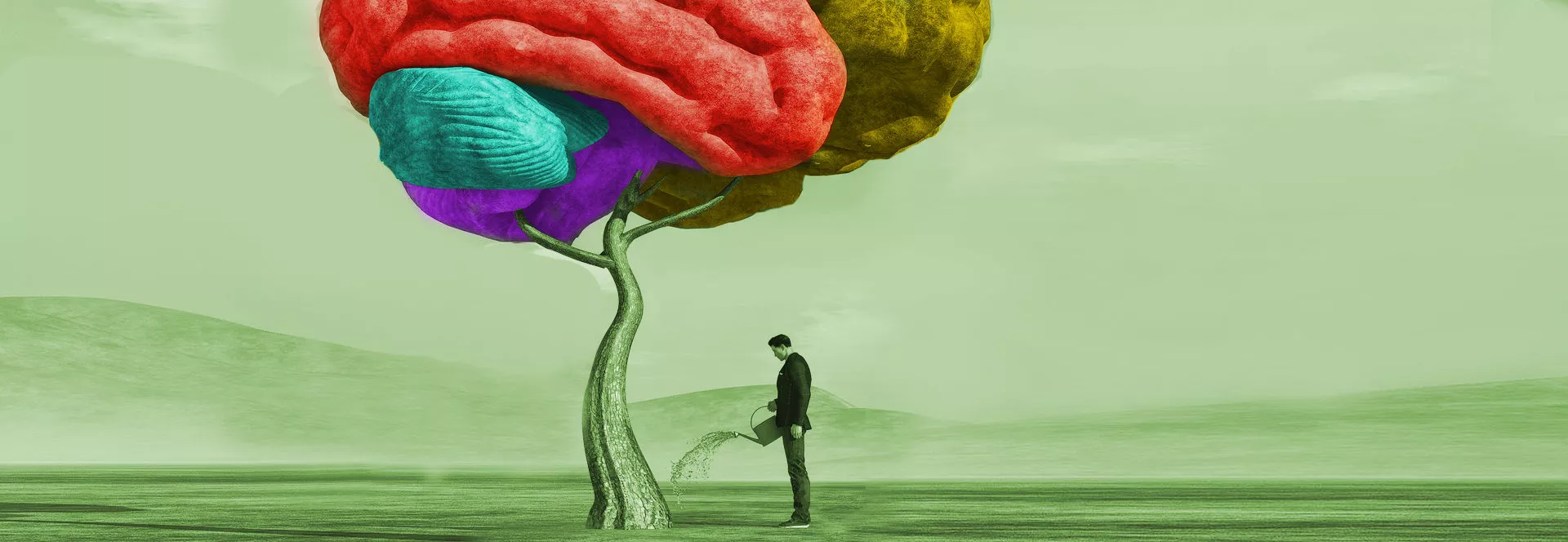 image This is a picture. A man with a watering can watering a tree on which is a multi-colored brain.