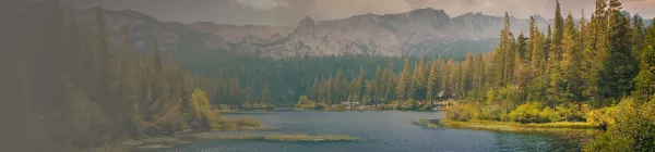 Background Image River Forest and Mountains